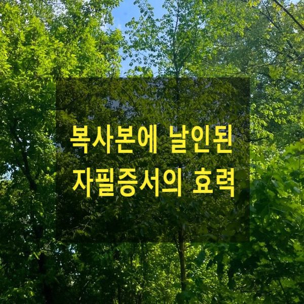  상속 - 복사본에 날인된 자필증서 유언의 효력