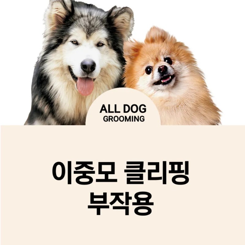 사진 2