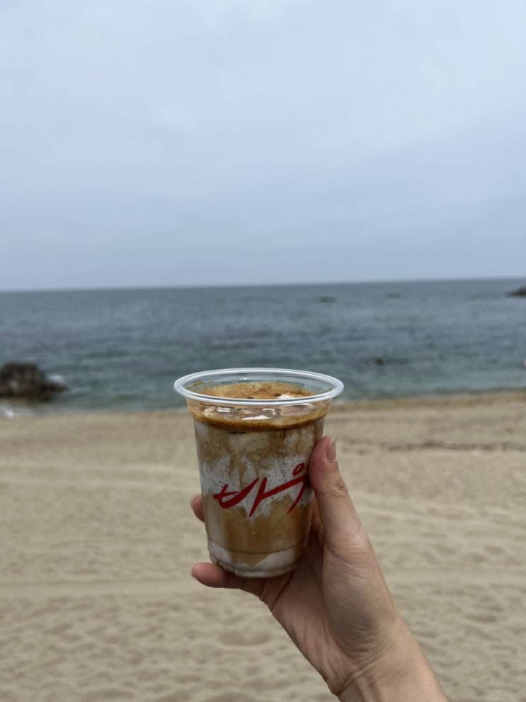  애견동반 강릉 카페 고소한 흑임자라떼가 맛있는 '카페 바우'