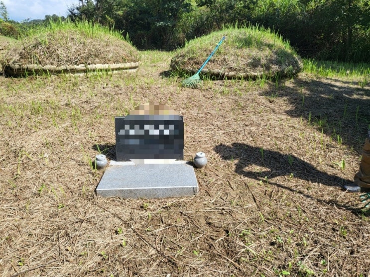  2023년 성주군 벽진면 가암리 비석1기 산소 3기 벌초 고인돌장묘개발장의사 #김천벌초 #선산벌초 #구미벌초 #황간벌초 #영동벌초 #성주벌초 #상주벌초 #문경벌초 #칠곡벌초 #벌초
