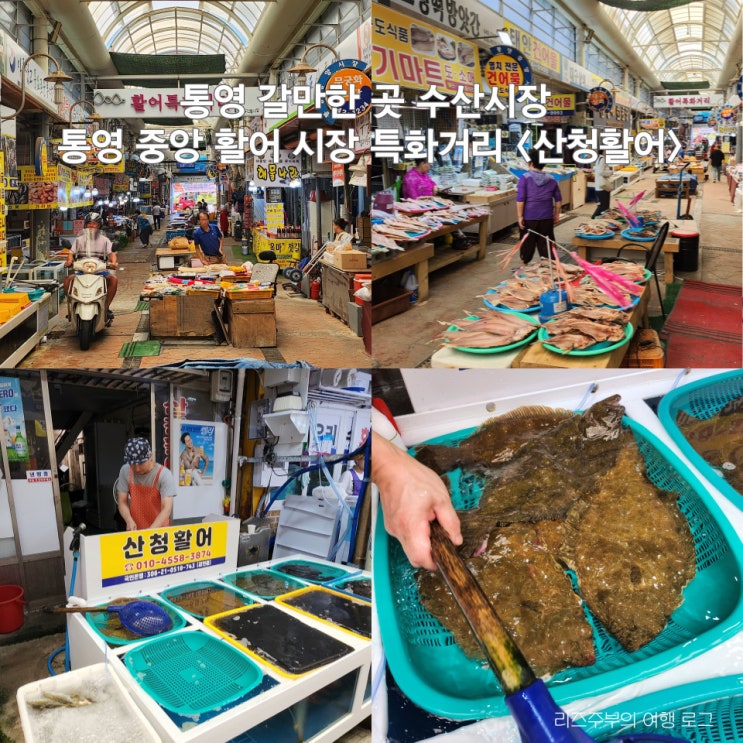  통영 수산시장 중앙 활어 시장 활어회 산청활어 통영중앙전통시장 주차