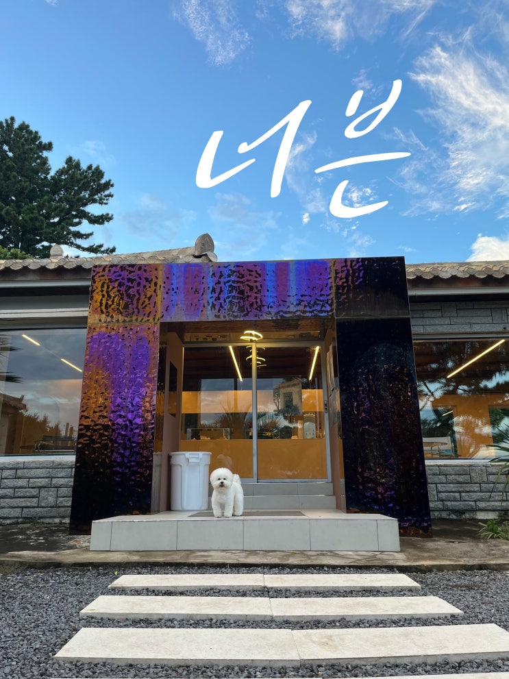  [제주살이 12주차] 제주 서귀포 애견동반카페_너븐(휴양지 느낌 예쁜 카페)