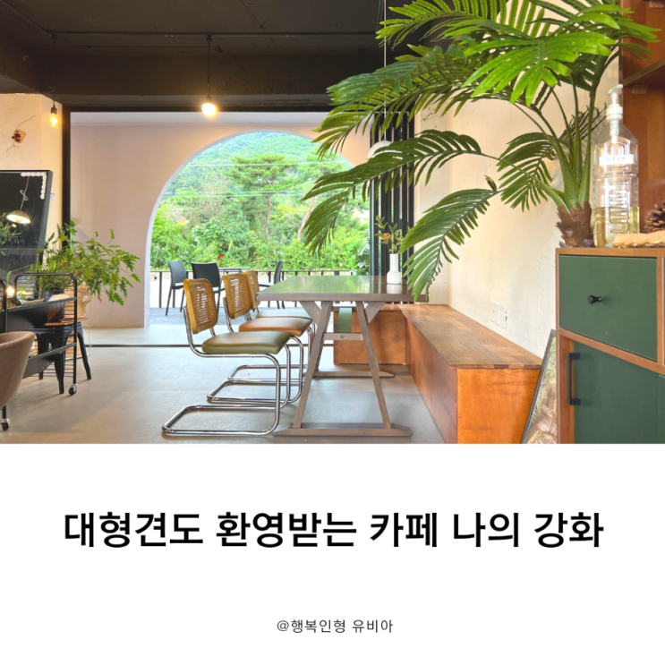  대형견 동반 가능한 서울 근교 카페 나의 강화 베이커리