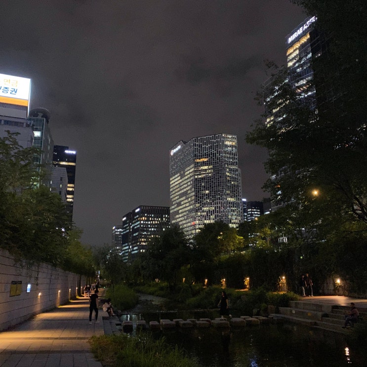  청계천 밤 산책 디지털 캔버스_부산에는 온천천 서울에는 청계천