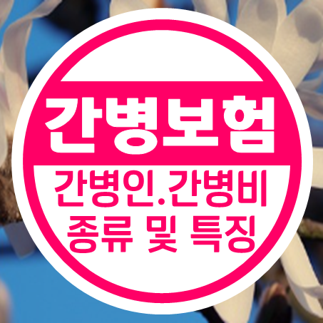  실버간병보험의 종류와 노인간병보험 비교 시 주의할 점