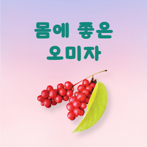  9월 수확 오미자 효능 씨앗이 더 좋다?