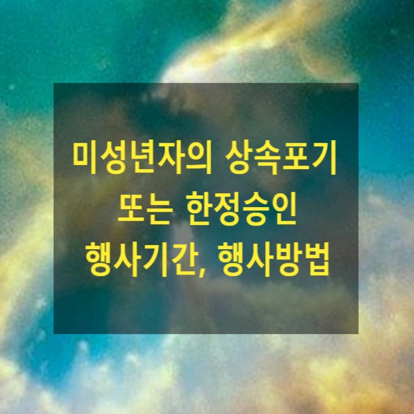  상속 - 미성년자의 상속포기 또는 한정승인권 행사기간, 행사방법