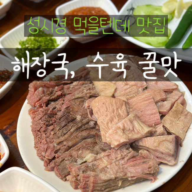  신설동 어머니대성집 성시경 먹을텐데 해장국 국밥집