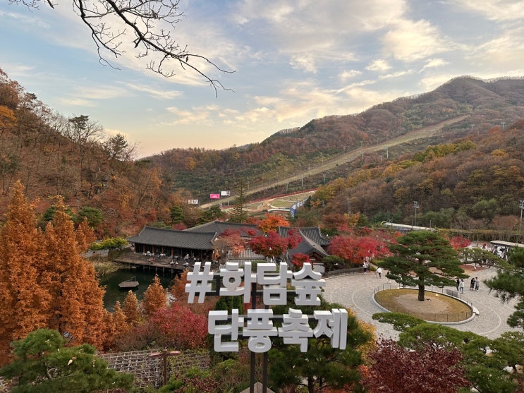  <경기도 단풍명소>화담숲 단풍 구경 모노레일 예약 팁