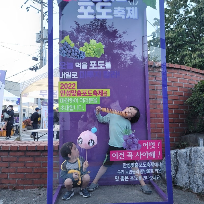 [2023 안성맞춤포도축제]안성시서운면포도축제, 안성포도축제