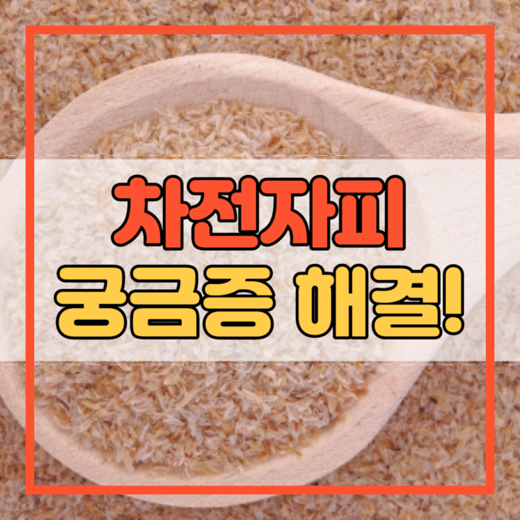  차전자피 효능 부작용 먹는법 식이섬유 가루 임산부 다이어트!