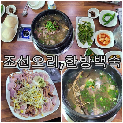  대전 대청호의 명물, 조선 오리! 고급 느낌 가득한 특별한 곳 가족모임 추천