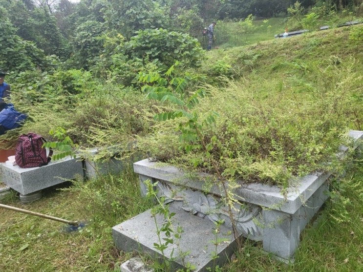  2023년 경북 김천시 남면 부상리 산 산소 5기 벌초 고인돌장묘개발장의사 #선산벌초 #구미벌초 #황간벌초 #영동벌초 #성주벌초 #상주벌초 #문경벌초 #칠곡벌초 #벌초대행