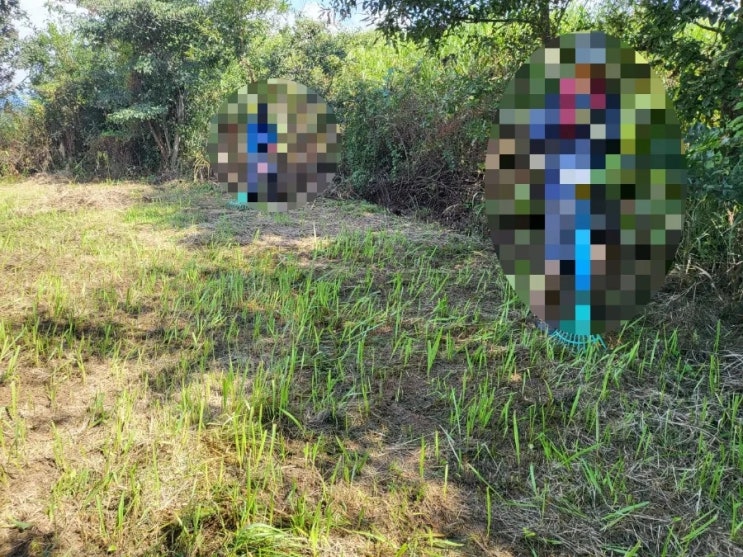  2023년 경북 성주군 벽진면 가암리 비석1기 산소 3기 벌초 고인돌장의사 #김천벌초 #선산벌초 #구미벌초 #황간벌초 #영동벌초 #성주벌초 #상주벌초 #문경벌초