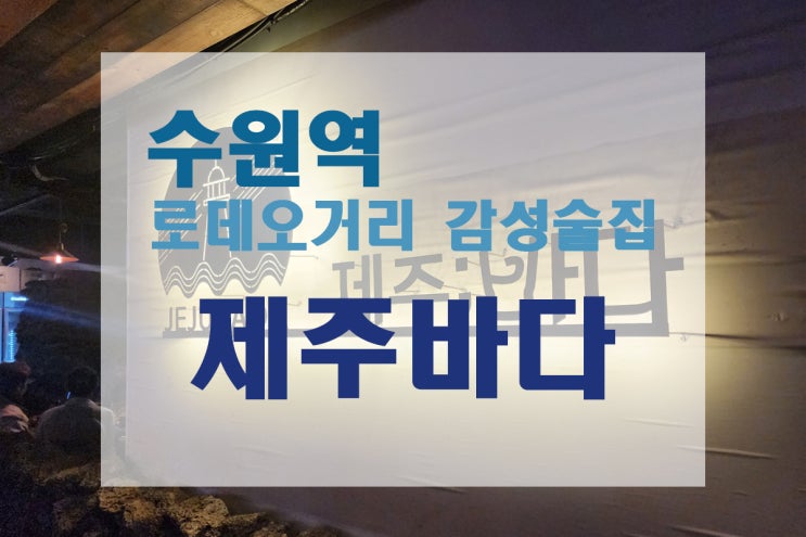  [수원역 로데오거리] 분위기 좋은 수원역 로데오거리 술집 제주바다