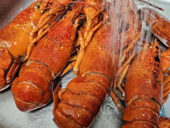  아빠표 요리, 아빠표 집밥, 집에서 하는 랍스터 요리, 찜, 버터구이, 밥, 라면