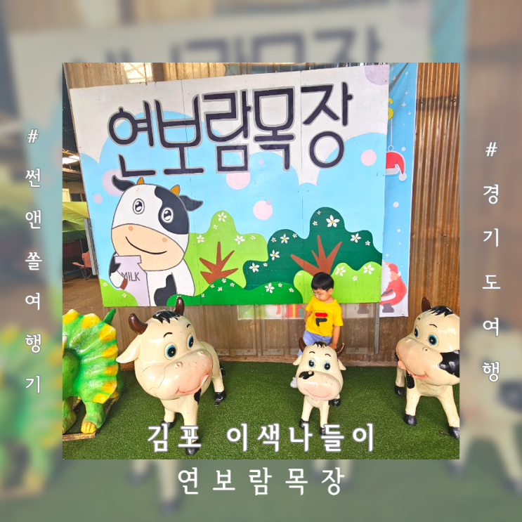  김포 실내 아이랑 갈만한곳 연보람목장 낙농체험 피자만들기