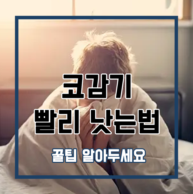  코감기 빨리 낫는법 꿀팁 알아두세요
