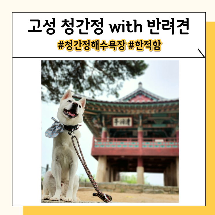 고성애견동반여행 청간정 사람 적은 해수욕장 고성애견동반여행 청간정 사람 적은 해수욕장