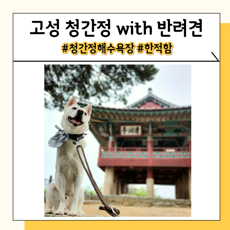 고성애견동반여행 청간정 사람 적은 해수욕장