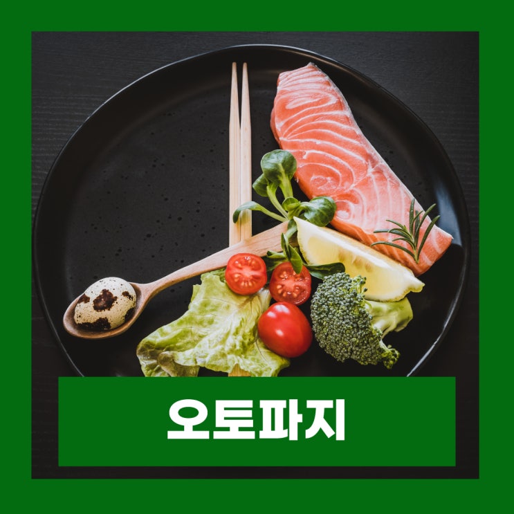  오토파지 뜻 활성화 방법 및 간헐적 단식 효과 주의사항