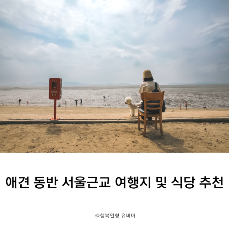 애견 동반 가능한 서울 근교  동막 해수욕장 이용 정보 및 강화 식당 준스레시피