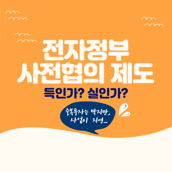  전자정부 사전협의 제도의 문제점