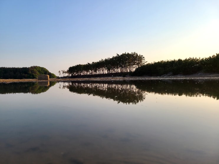  [충남여행]태안 안면도 가볼만한곳/태안서부시장 파전칼국수/안면도유우니 포토스팟
