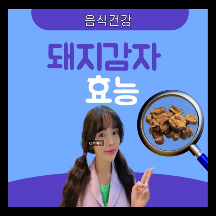 당뇨에 좋은 차 음식 : 돼지감자 즙 차 자색 말린 돼지감자 효능