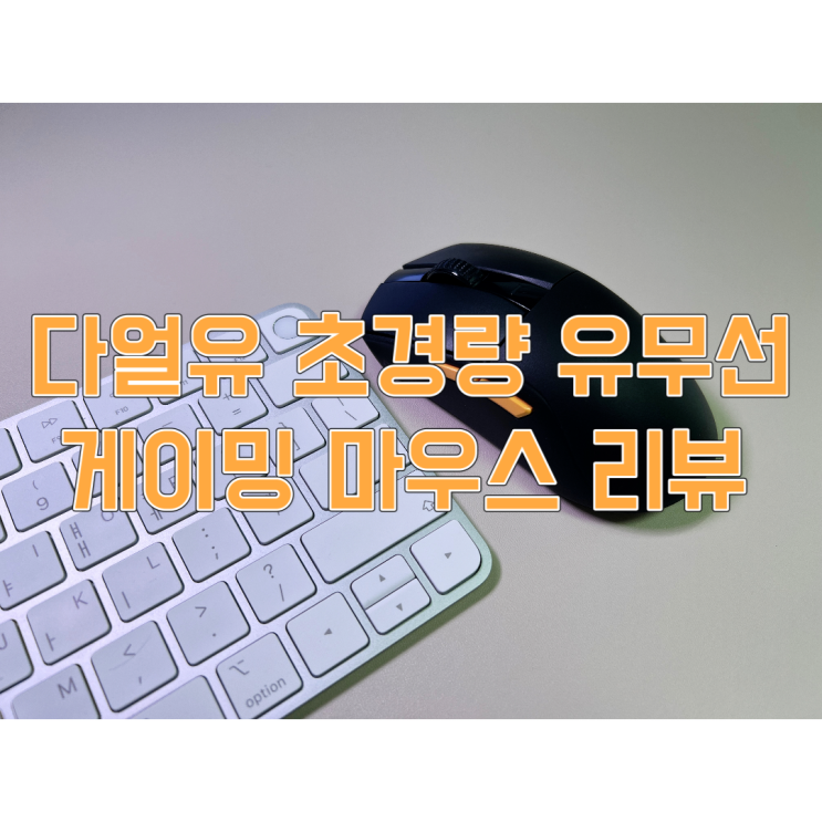  다얼유 A950G 4K 초경량 유무선 게이밍 마우스 리뷰