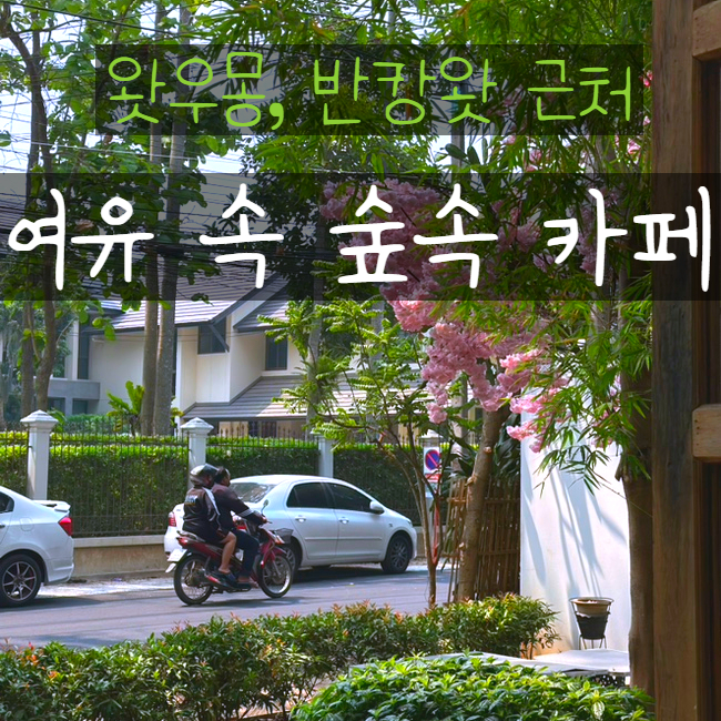  치앙마이 카페 No.39 Cafe, 란딘 LANDIN 커피