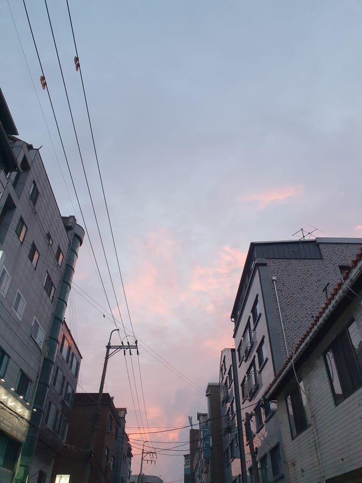  결혼준비 순서 중 최고봉, 신혼집 마련하기(부동산 매매)