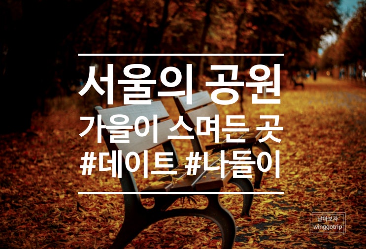  서울 가을 여행 모음/ 월드컵 하늘공원, 올림픽공원, 석촌호수, 서울숲