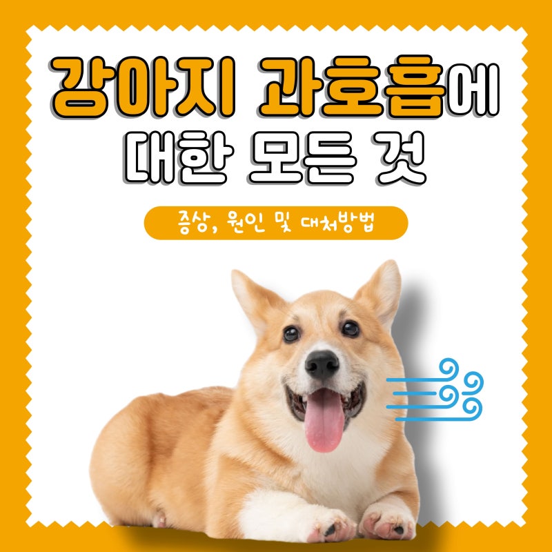 강아지 과호흡 증상, 원인 및 대처 방법 (+의미, 호흡 수)