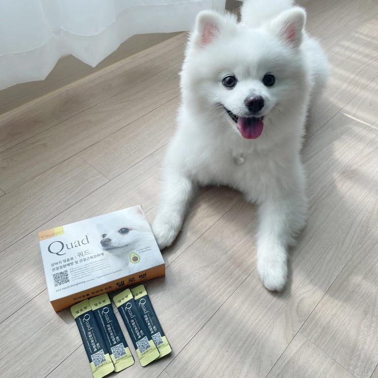 강아지관절영양제 - 텔로펫 쿼드로 강아지 관절근육강화로 슬개골탈구 차단!