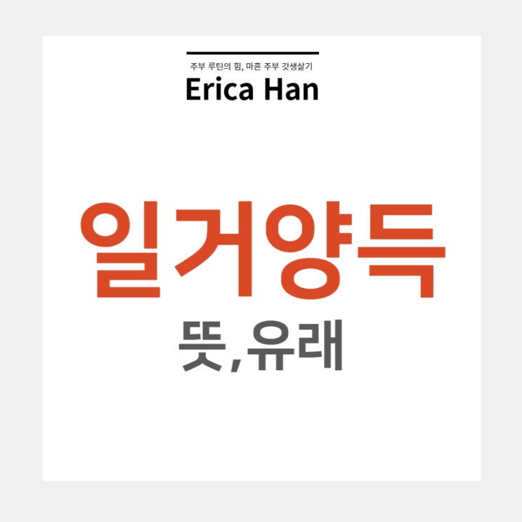  일거양득 일석이조 뜻 및 유래 이득과 관련된 한자 고사성어와 사자성어