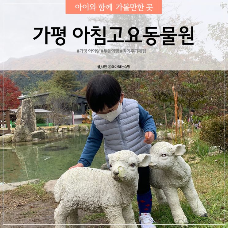  가평 가볼만한곳 아침고요 동물원 아이랑 두돌 여행 다녀왔어요.