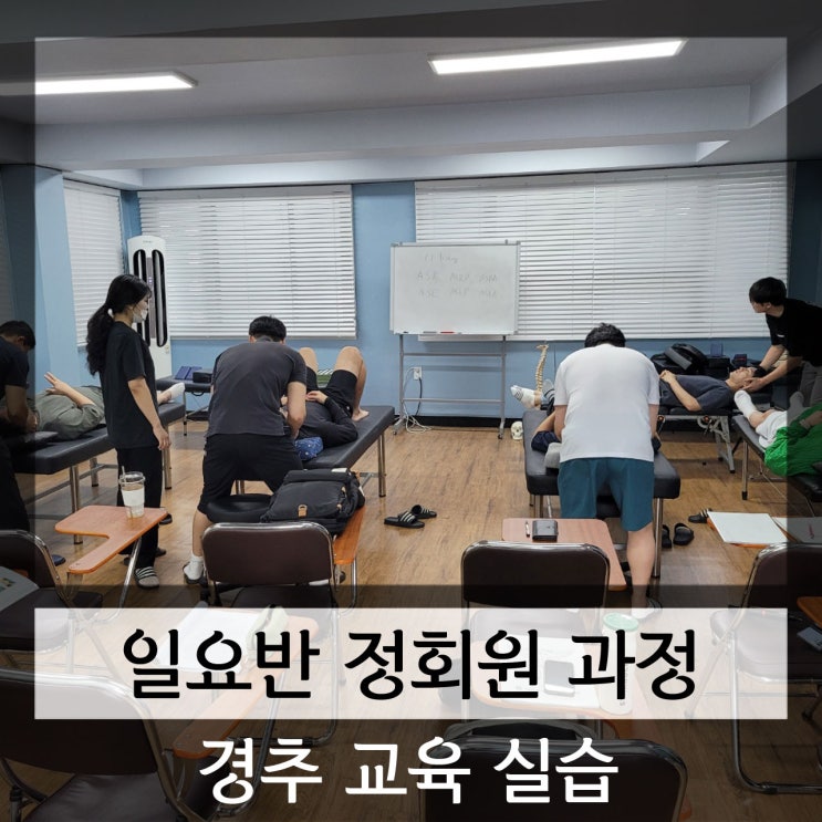 카이로프랙틱 교육 경추 교정 실습