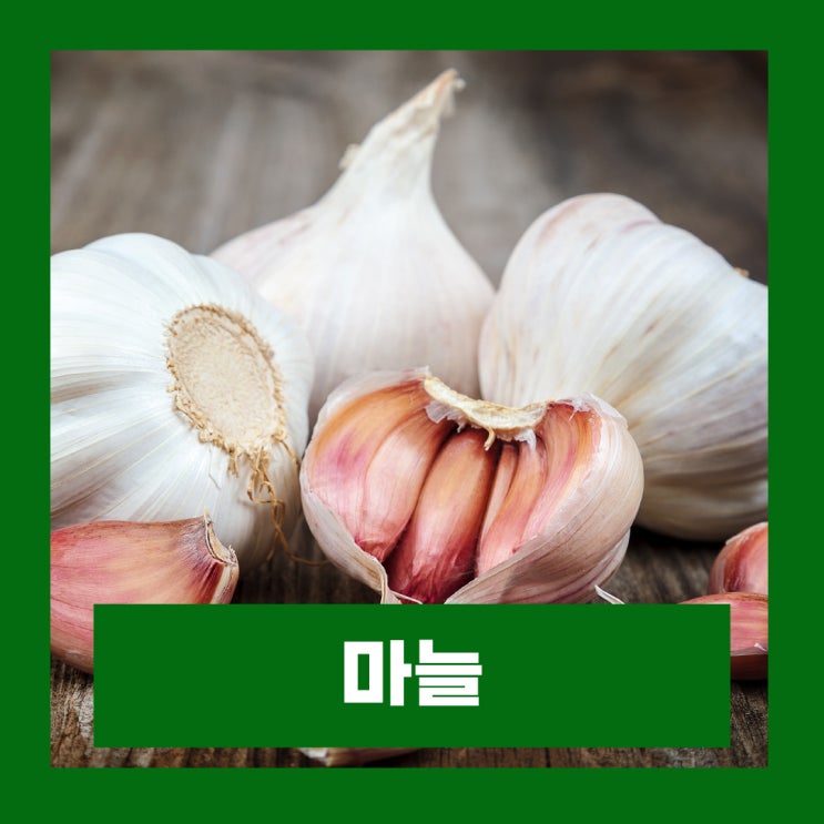  알리신 아호엔 몸에 좋은 마늘 효능 썰어서 먹어야 하는 이유