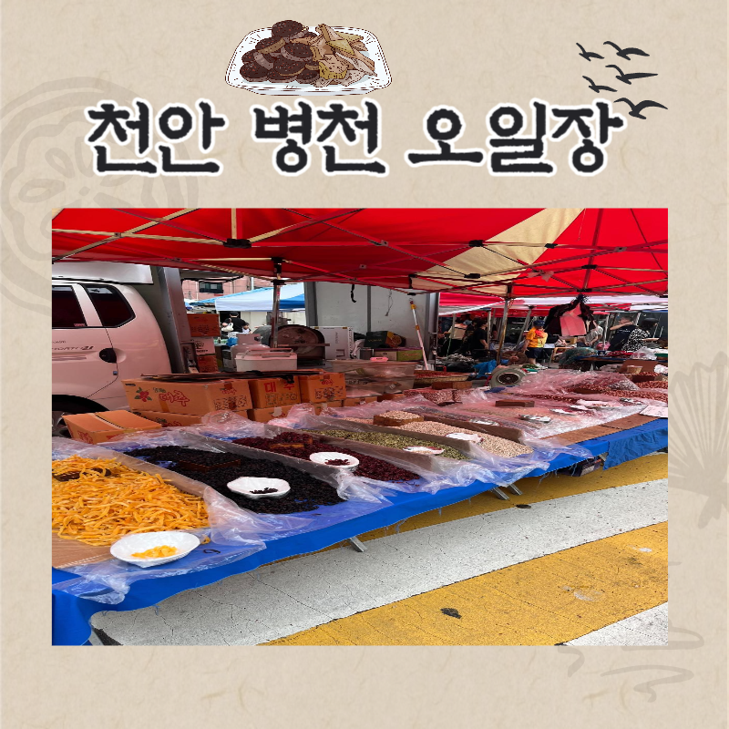 천안 병천 장날 오일장 충남집 순대