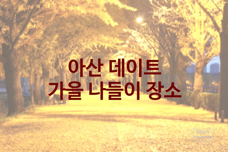  충남 아산 곡교천 은행나무길/ 지산체육공원/ 외암민속마을/ 도고소풍 카페