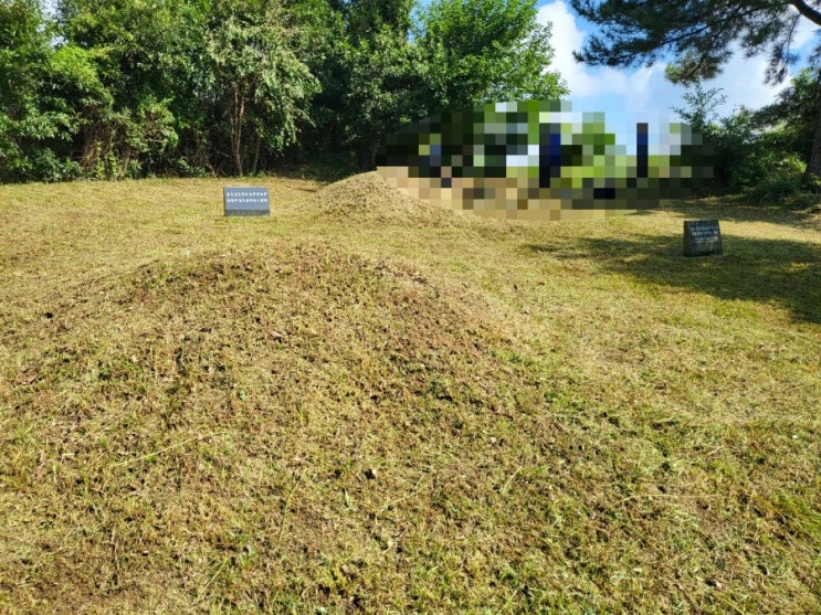  2023년 경북 성주군 벽진면 가암리 산소 3기 비석 2기 벌초 고인돌장묘개발장의사 김천 선산 구미 황간 영동 성주 상주 문경 칠곡
