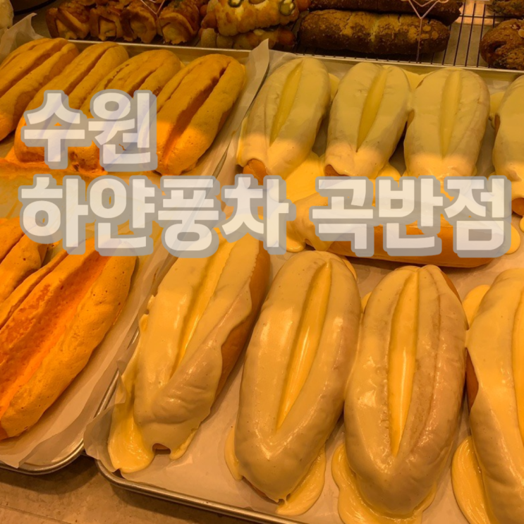  언제 먹어도 맛있는 수원 빵집 하얀풍차 제과점 곡반점으로 빵지순례 다녀온 후기