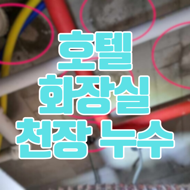  동탄 호텔 화장실 천장누수-속도가 생명