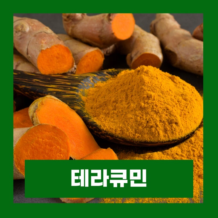  한독 테라큐민 플러스90 강황 효능 강황밥에 좋은 커큐민 추천
