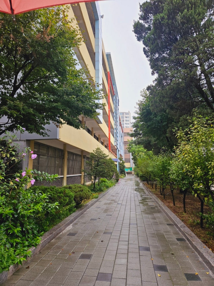  한강중학교 변호사 진로특강에 다녀오다 (학폭전문변호사가 바쁜 중에도 직업 특강을 이어가는 이유)