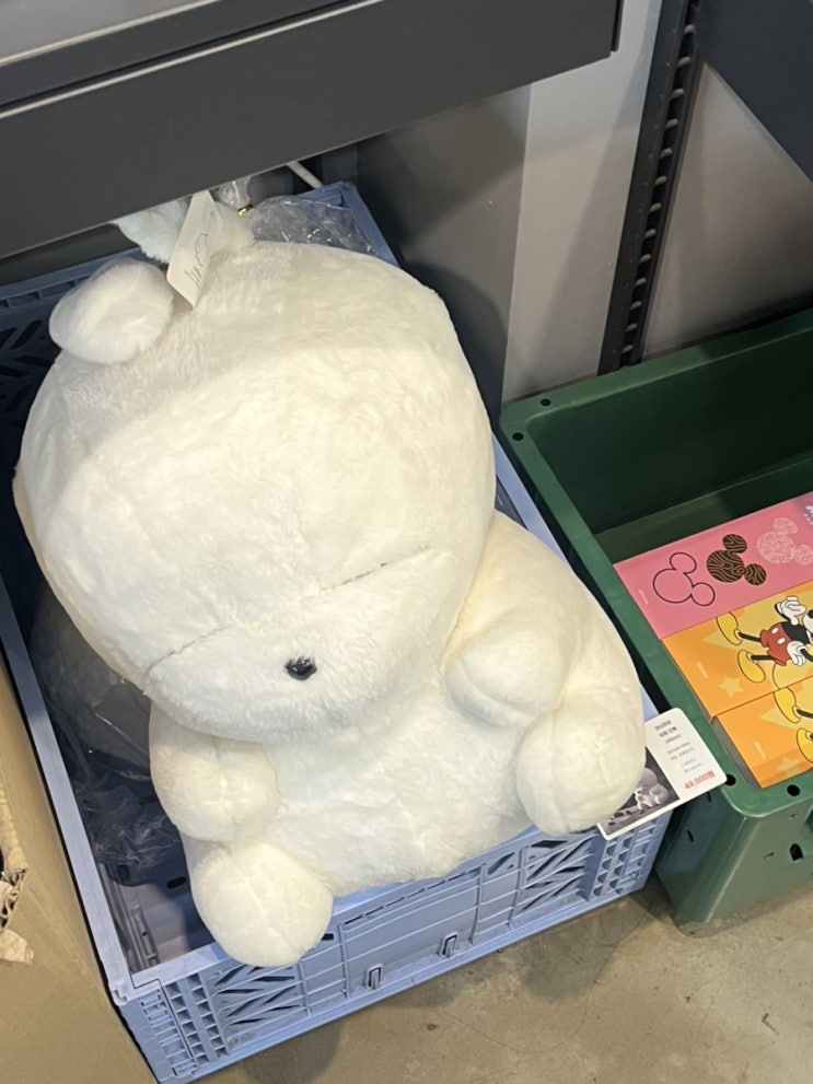  상상마당 홍대 홍대가볼만한곳 쇼핑할만한곳 구경거리 귀여운거 한바가지