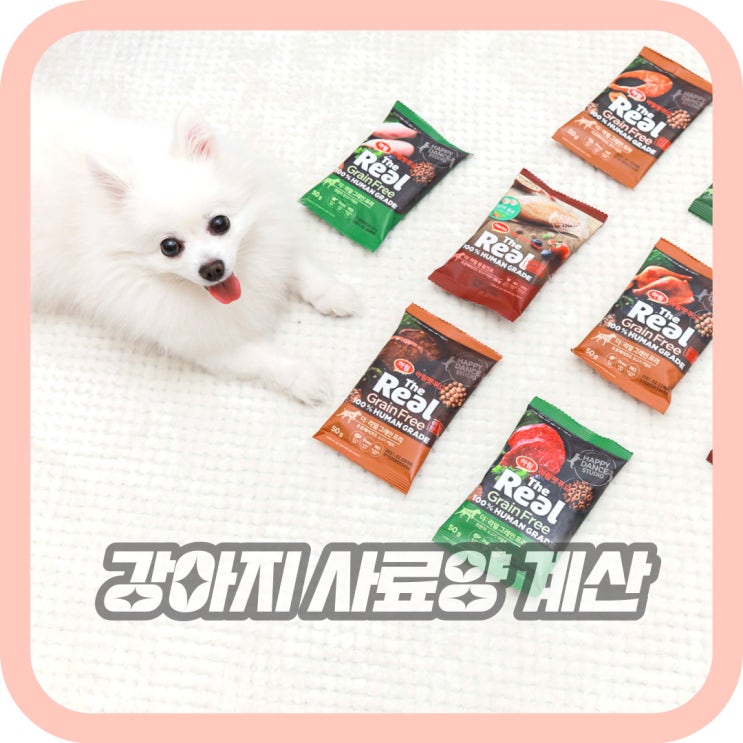  새끼 강아지 사료양 계산 개월별 급여 횟수 밥시간