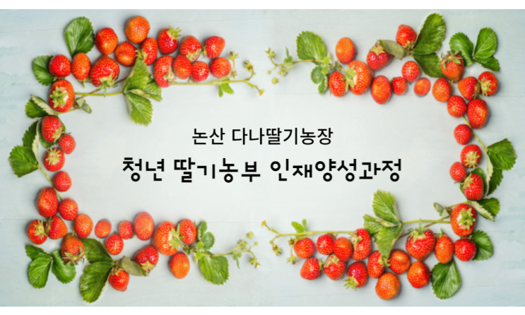  논산 다나딸기농장 <청년 딸기농부 인재양성과정> - MBTI 특강