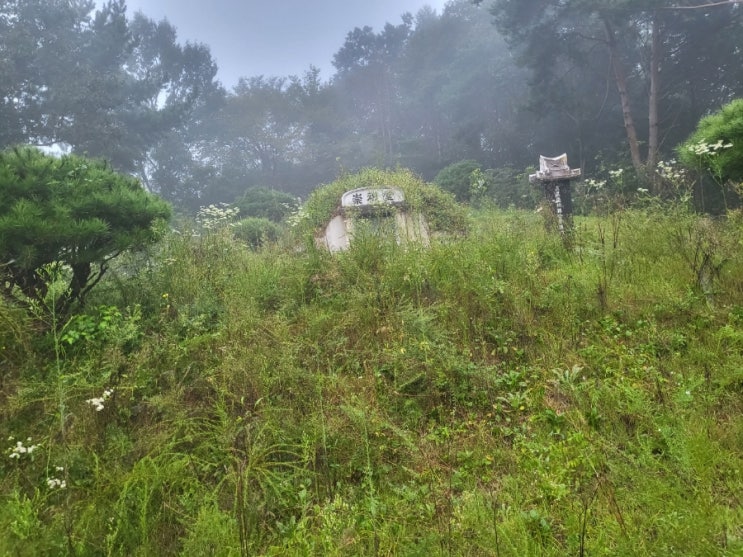  2023년 경북 김천시 구성면 광명리 납골당 1기 산소 2기 벌초 고인돌장의사 #선산벌초 #구미벌초 #황간벌초 #영동벌초 #성주벌초 #상주벌초 #문경벌초 #칠곡벌초